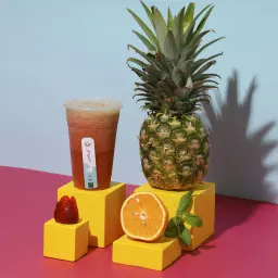 منعش
